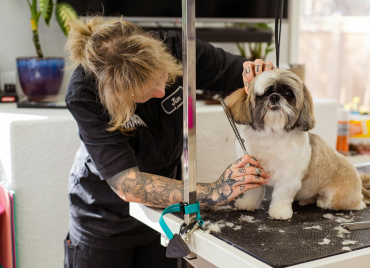  Dog Groomer Uniforms: The Best Workwear for Grooming